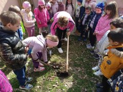 viber_slika_2024-03-21_11-23-42-854.jpg